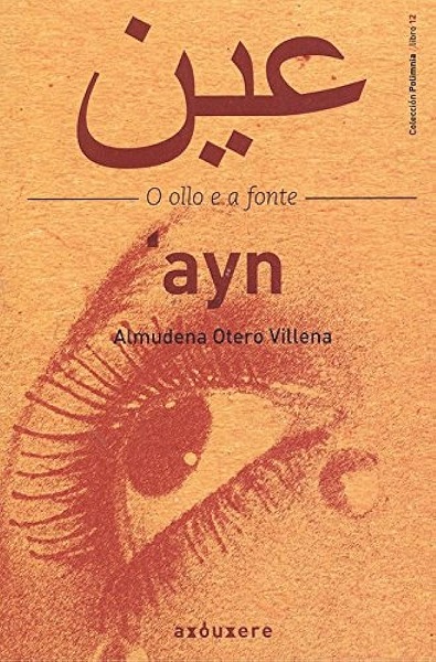 Imagen de portada del libro 'Ayn, O ollo e a fonte