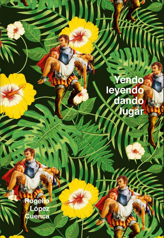 Imagen de portada del libro Rogelio López Cuenca