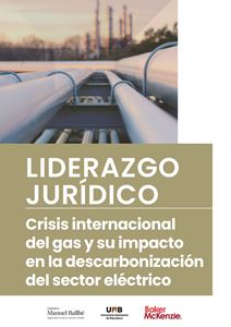 Imagen de portada del libro Crisis internacional del gas y su impacto en la descarbonización del sector eléctrico