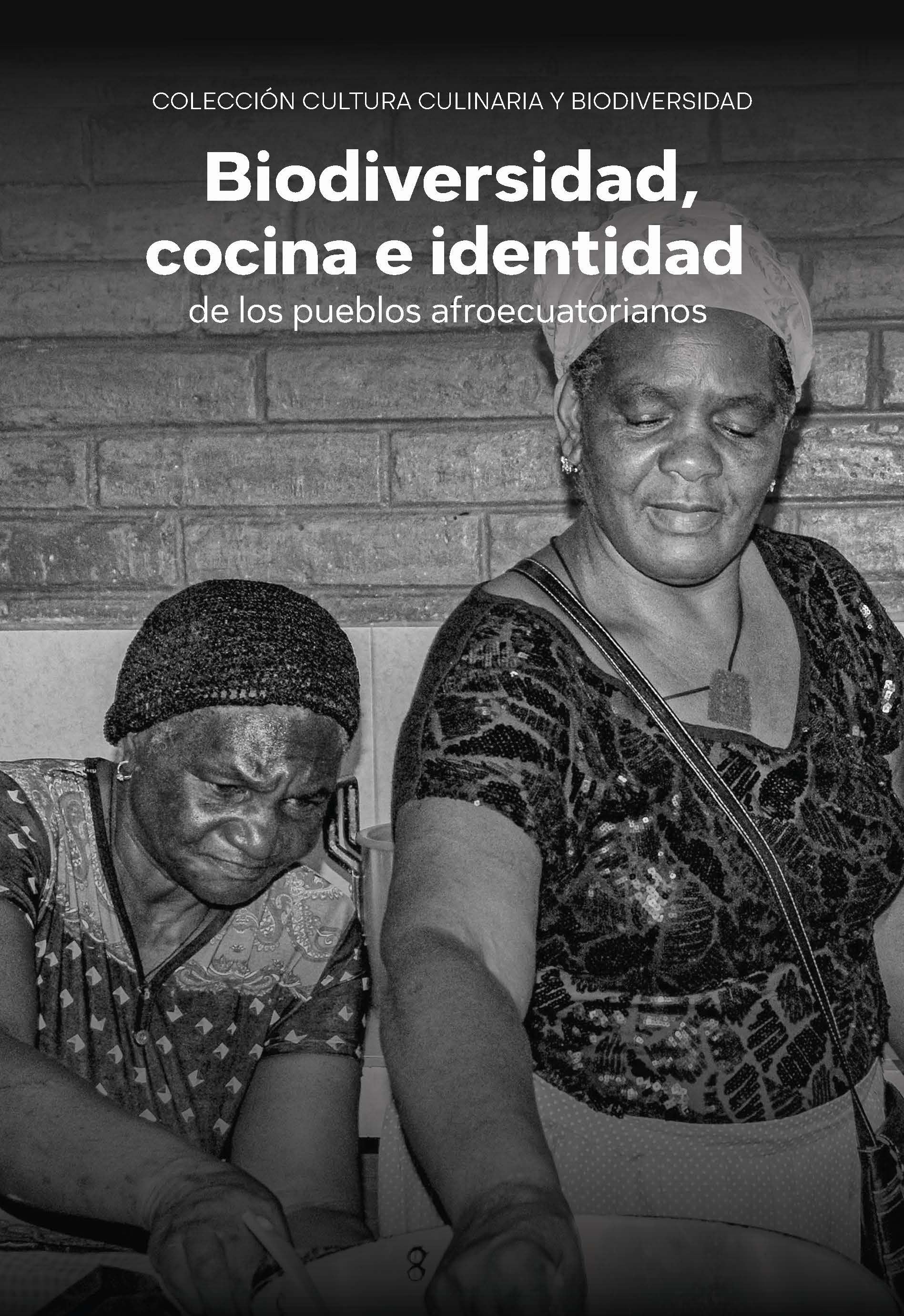 Imagen de portada del libro Biodiversidad, cocina e identidad de los pueblos afroecuatorianos