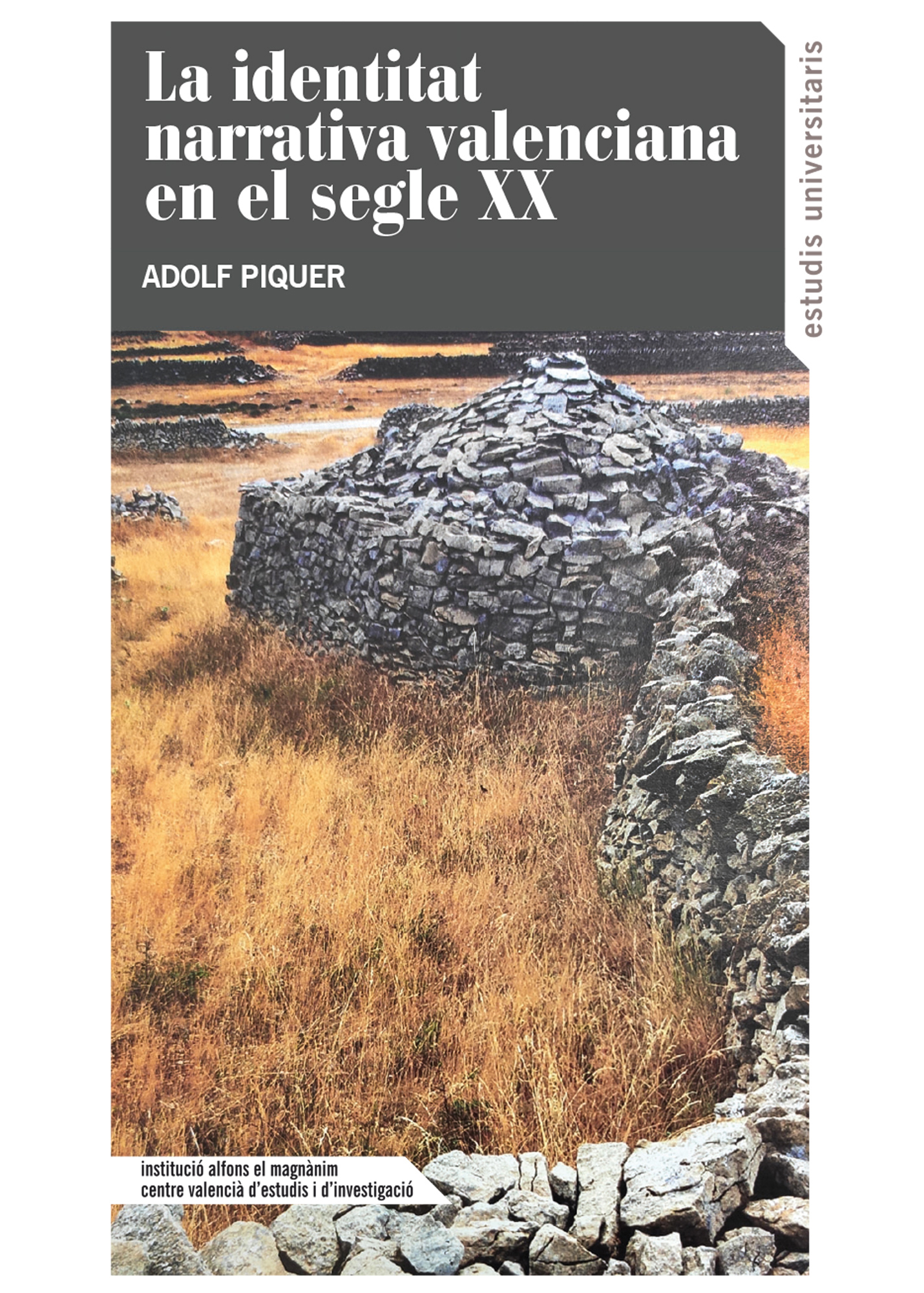 Imagen de portada del libro La identidad narrativa valenciana en el segle XX