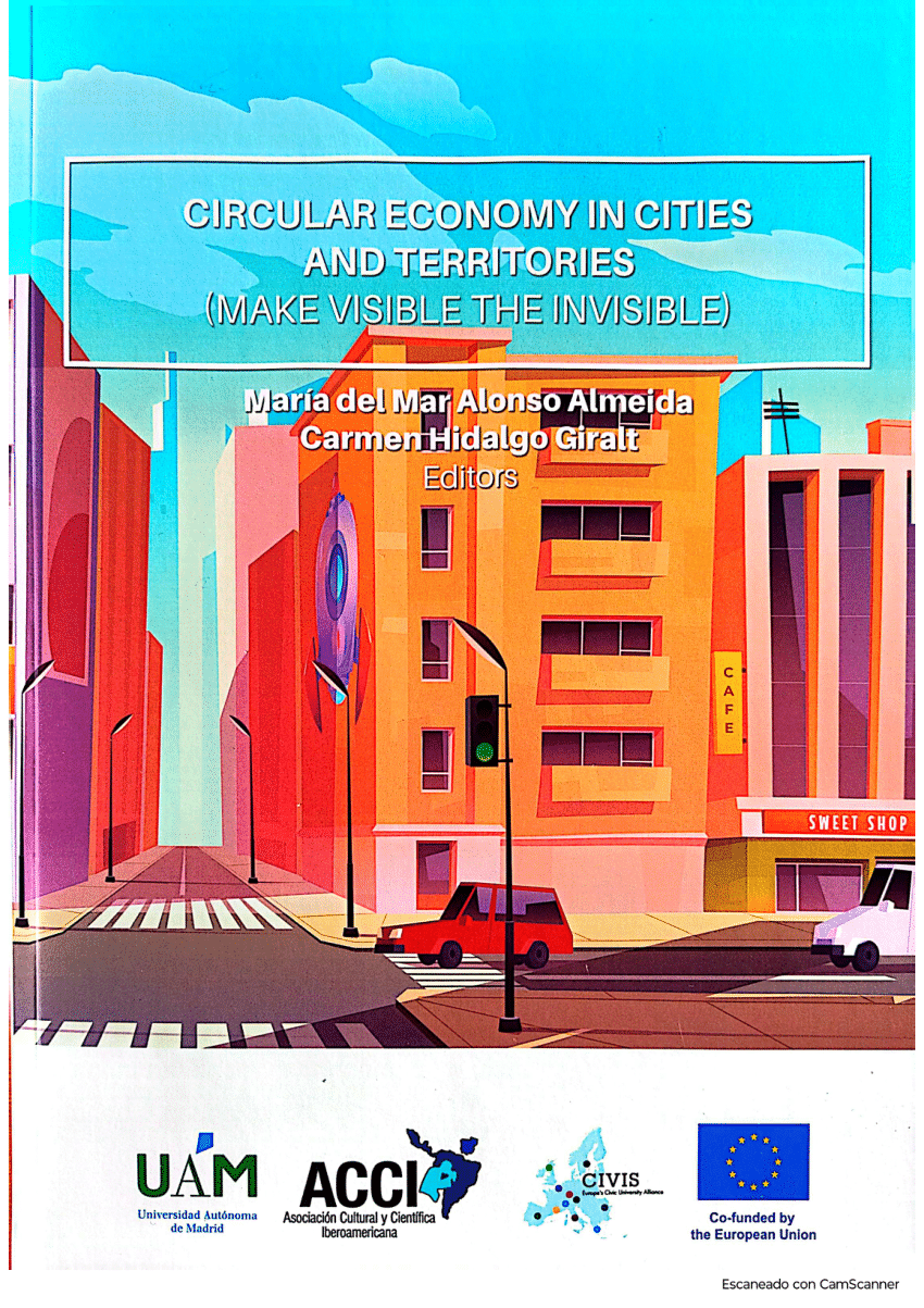Imagen de portada del libro Circular economy in cities and territories