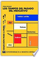 Imagen de portada del libro Los tiempos del pasado del indicativo