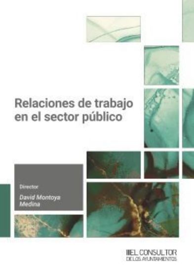 Imagen de portada del libro Relaciones de trabajo en el sector público