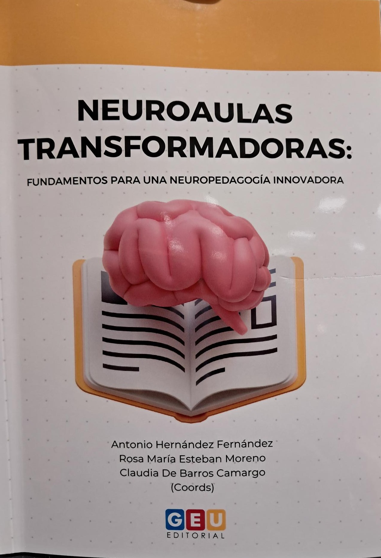 Imagen de portada del libro Neuroaulas transformadoras