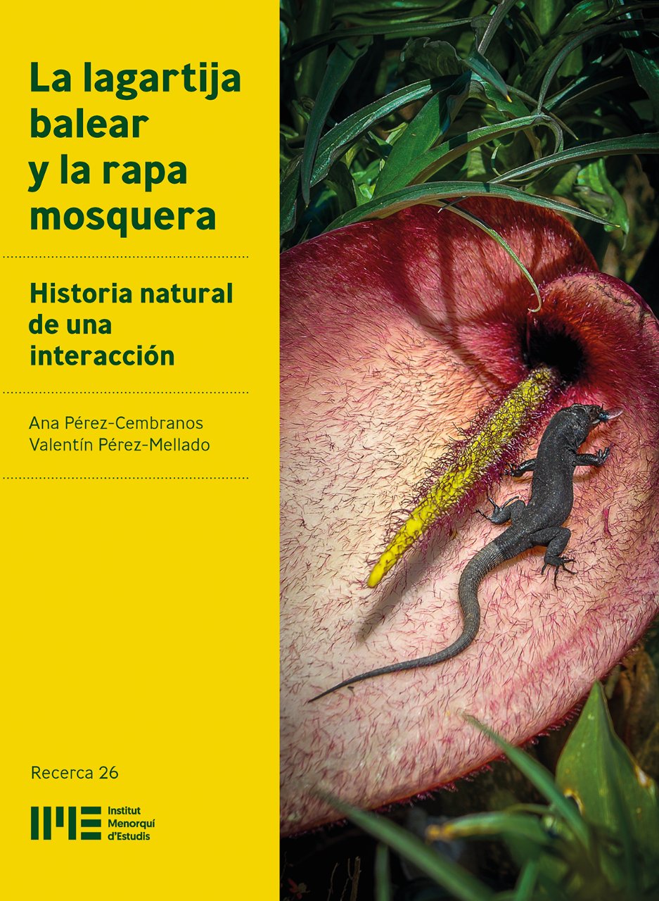 Imagen de portada del libro La lagartija balear y la rapa mosquera