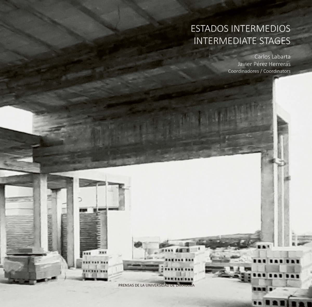 Imagen de portada del libro Estados intermedios = Intermediate stages