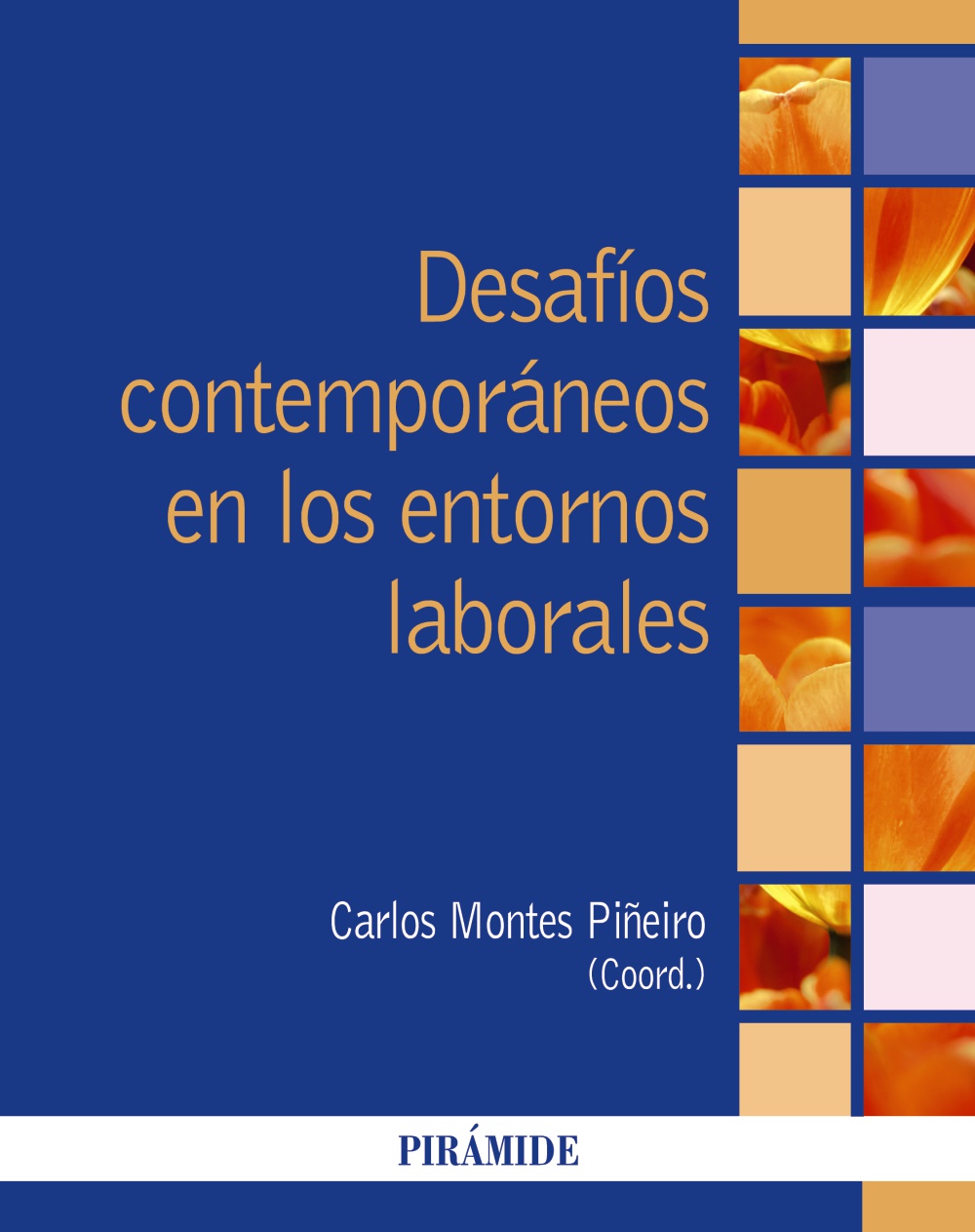 Imagen de portada del libro Desafíos contemporáneos en los entornos laborales