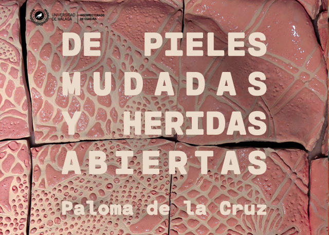 Imagen de portada del libro De pieles mudadas y heridas abiertas