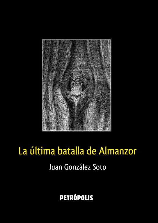 Imagen de portada del libro La última batalla de Almanzor