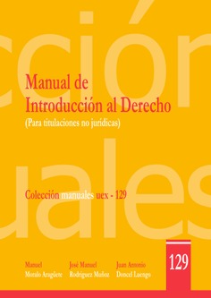 Imagen de portada del libro Manual de introducción al Derecho (para titulaciones no jurídicas)