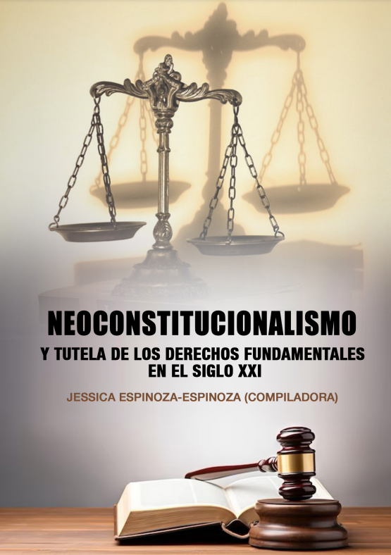 Imagen de portada del libro Neoconstitucionalismo y tutela de los derechos fundamentales en el siglo XXI