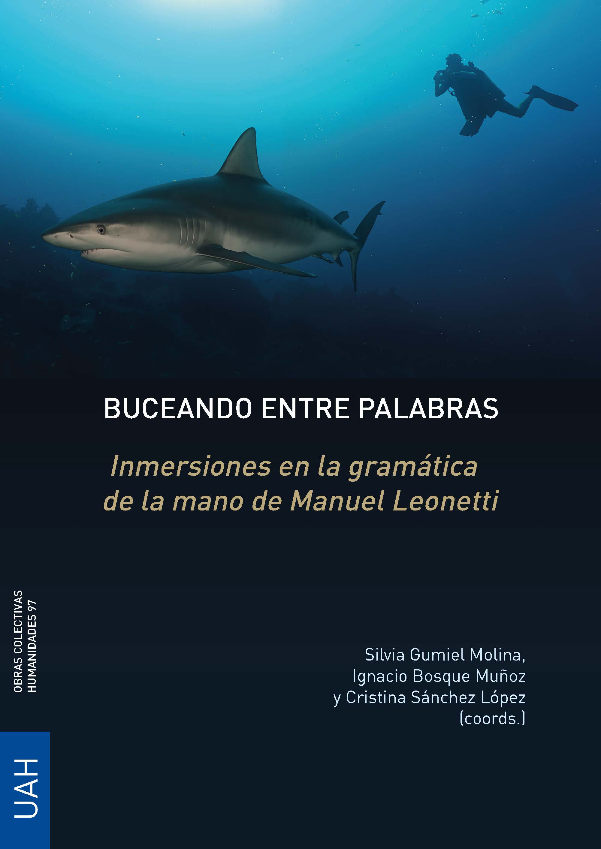 Imagen de portada del libro Buceando entre palabras