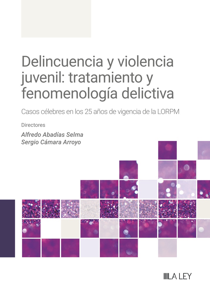 Imagen de portada del libro Delincuencia y violencia juvenil: