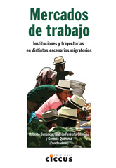 Imagen de portada del libro Mercados de trabajo, instituciones y trayectorias en distintos escenarios migratorios