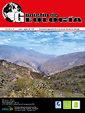 Imagen de portada de la revista Boletín de Geología