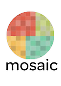 Imagen de portada de la revista Mosaic