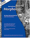 Imagen de portada de la revista International Journal of morphology