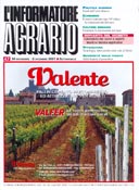 Imagen de portada de la revista Informatore agrario