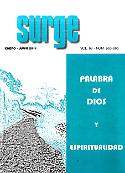 Imagen de portada de la revista Surge